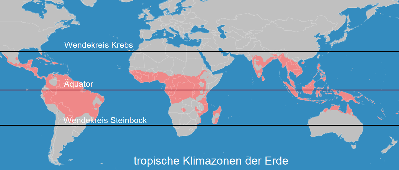 Tropics | wein.plus Wine Lexicon