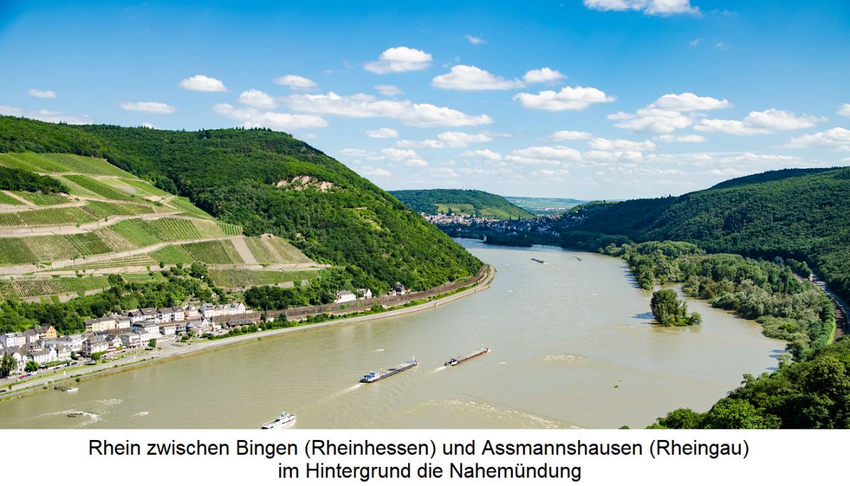 Rhine  wein.plus Lexicon