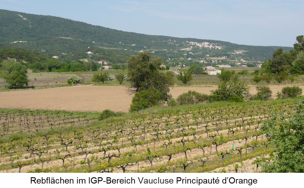 Rebflächen im IGP-Bereich Vaucluse Principauté d’Orange
