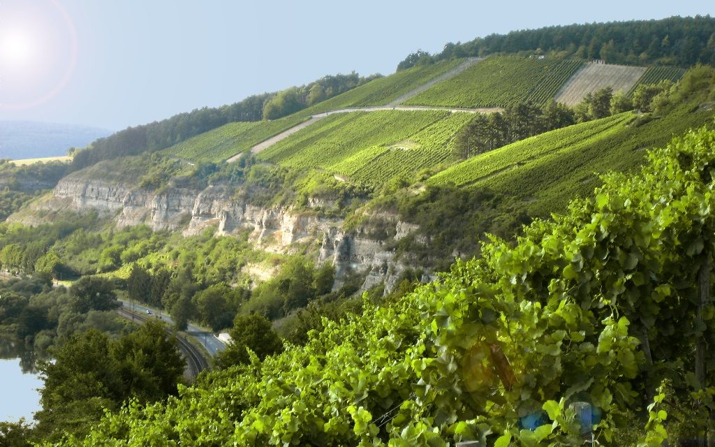 Stein (single vineyard Germany) | wein.plus Lexicon