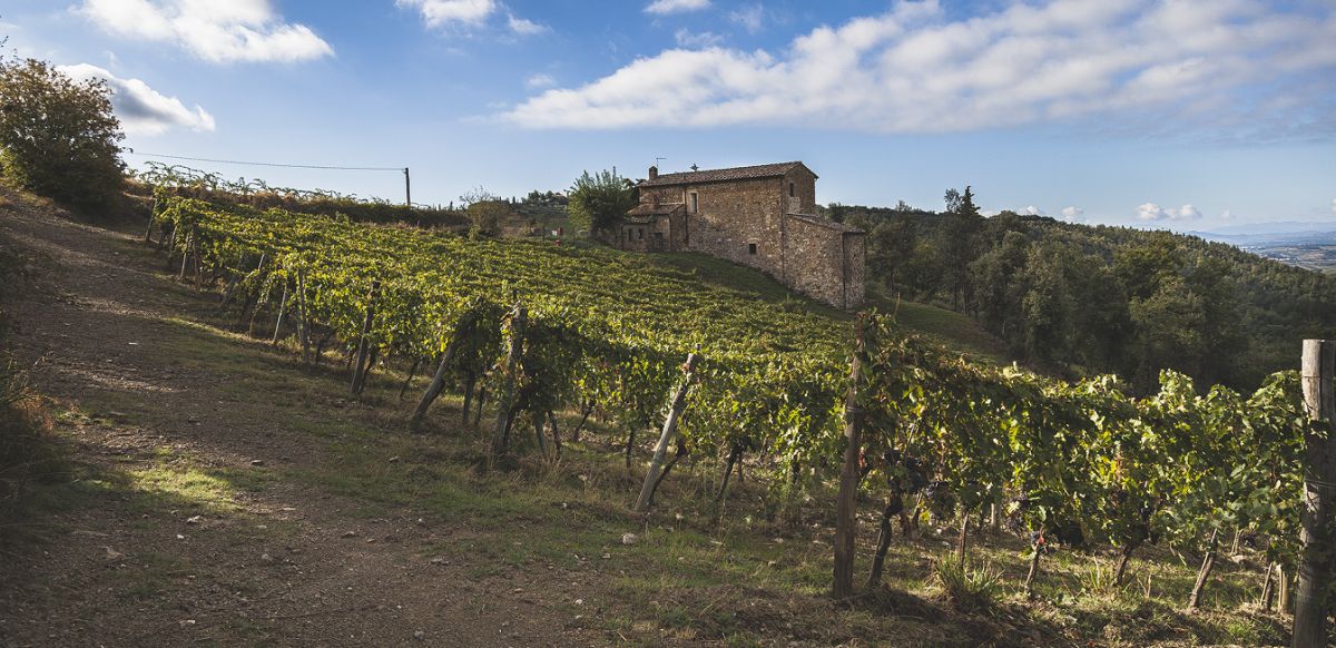 Piemaggio - Weingutsgebäude und Rebflächen