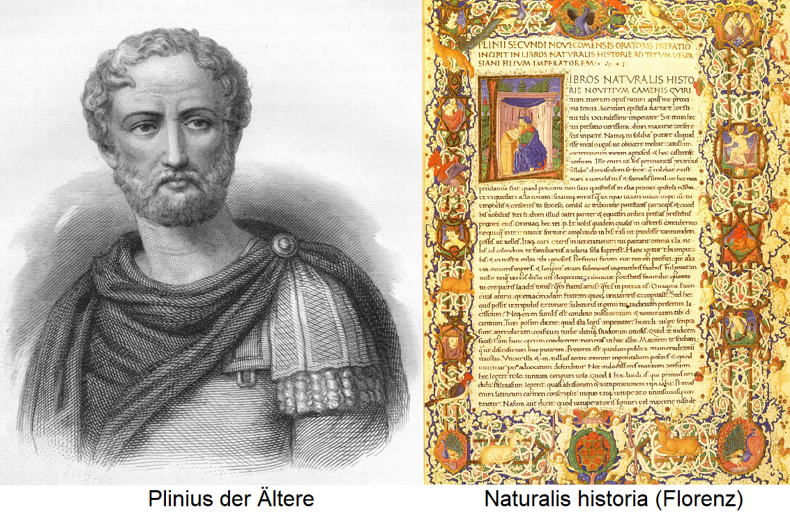 Книга естественные истории. Римский писатель Плиний старший.