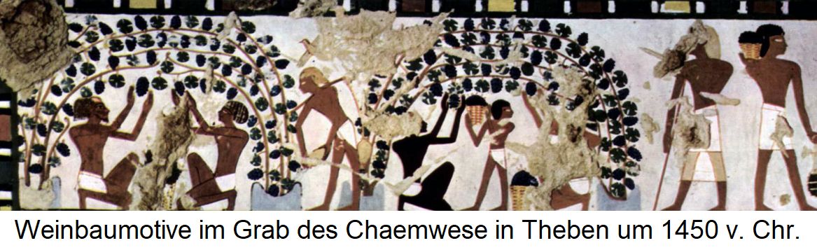 Wandmalerei im Grab des Chaemwese in Theben um 1450 v. Chr. mit Weinbaumotiven