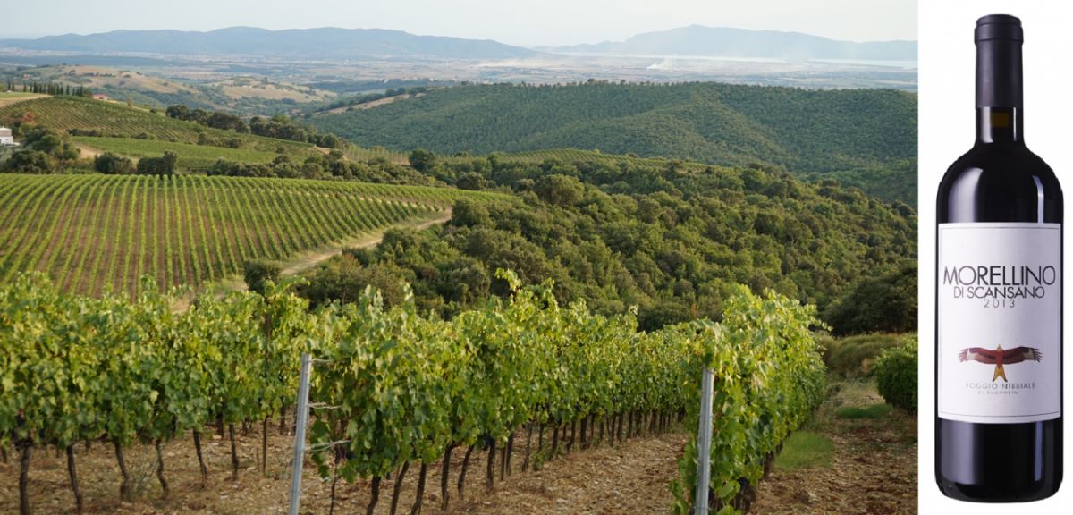 Poggio Nibbiale - Blick über die Weinberge und Flasche