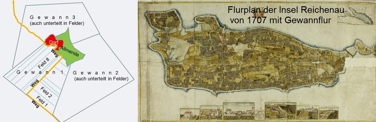 Gewann - Graphik und Gewannflur auf der Insel Reichenau aus 1707