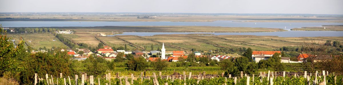 Mörbisch - Gemeinde mit Weingärten
