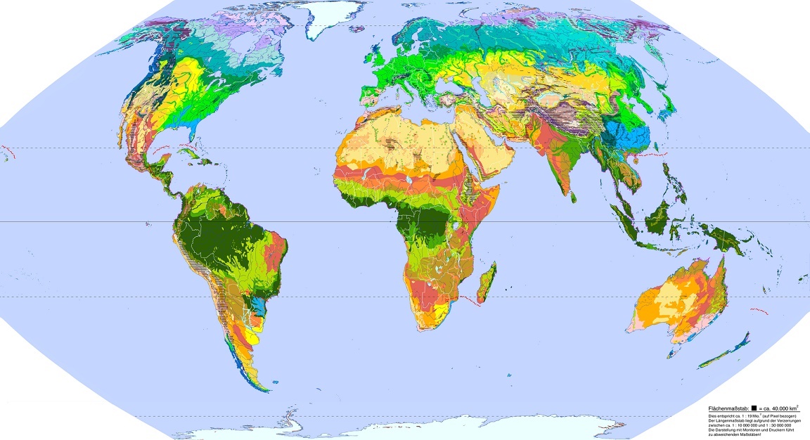 Vegetationstyp - Weltkarte