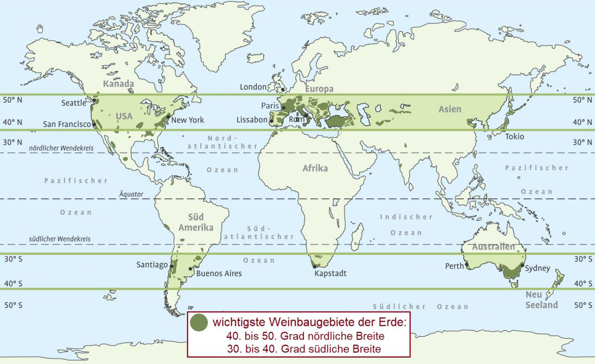 Rebengürtel - Weltkarte mit Weinbaugebieten
